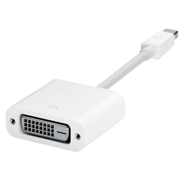 Apple Mini Display Port to DVI Adapter A1305 — 1