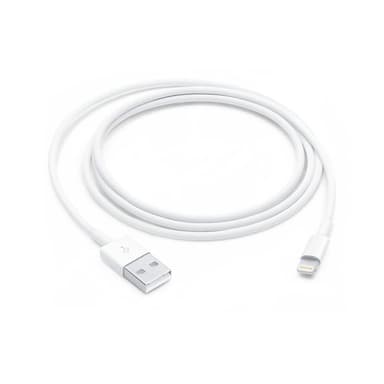 Apple Lightning to USB Cable (1 m) — 1