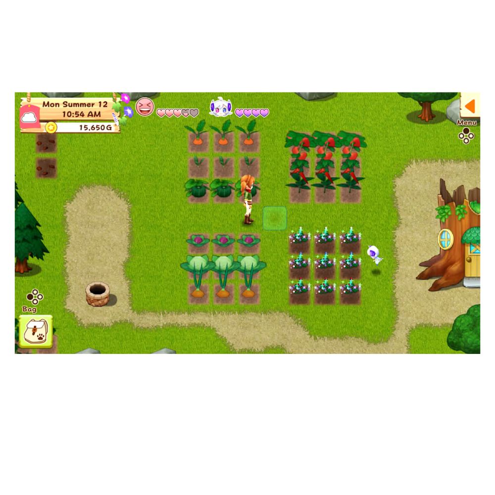 Nintendo Switch Harvest Moon Light of Hope Game — image 2