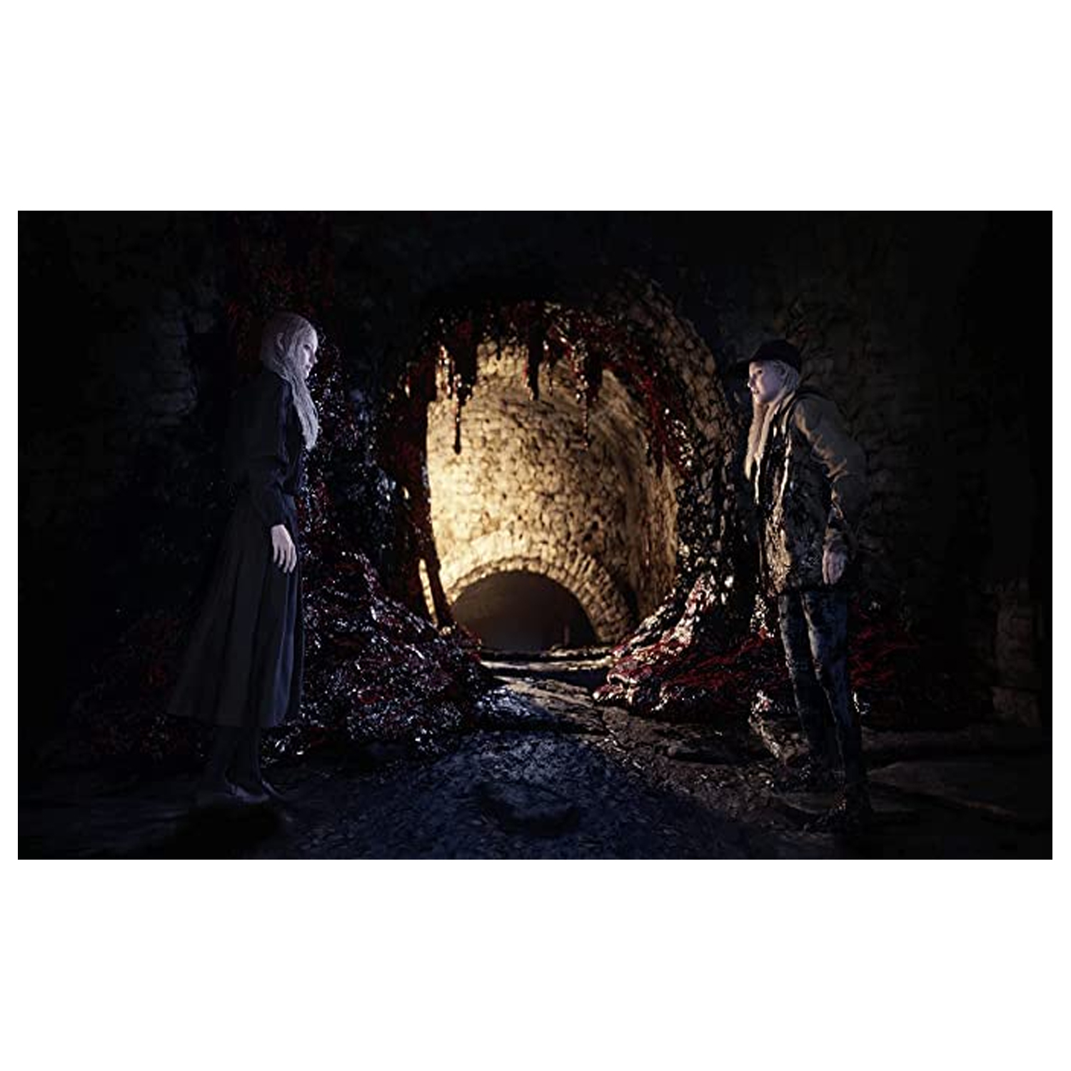 PS4 Village Resident Evil Game — image 4