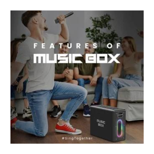 HiFuture Karaoke Speaker with Dual Wireless Microphones — image 4