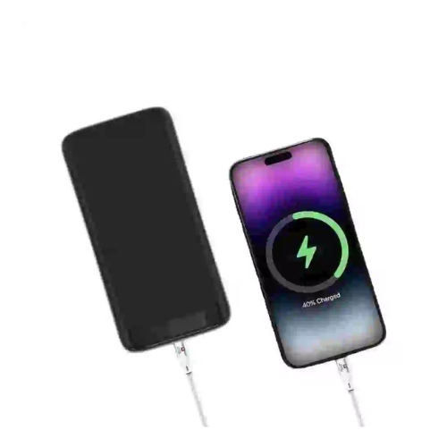 SWISS Military 100W USB-C TO USB-C Cable — image 3