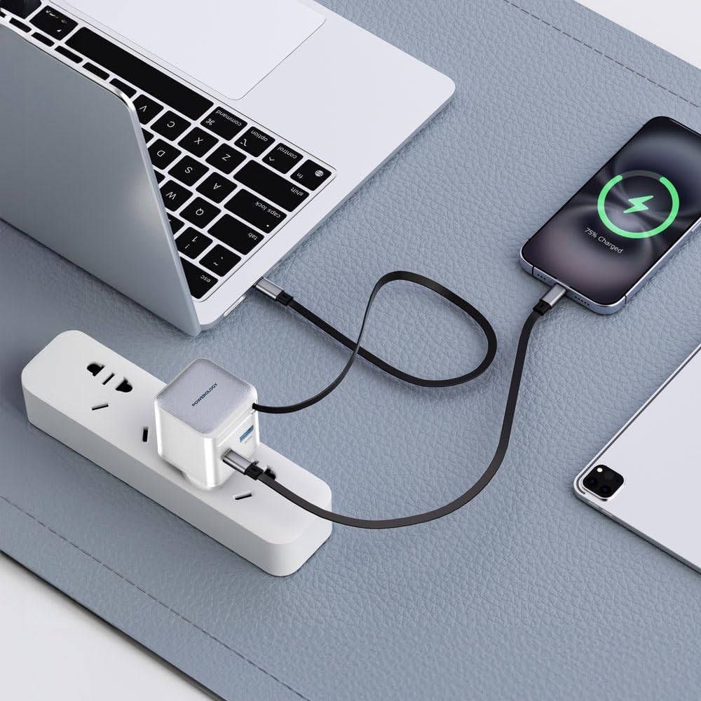 Powerology PWC031 Dual Port Gan Charger 65W — image 4