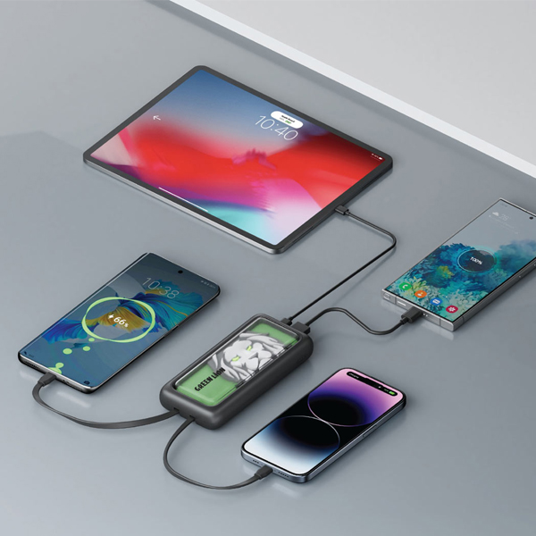 Green Lion Le Lion Integrated 10000mAh Power Bank — image 2